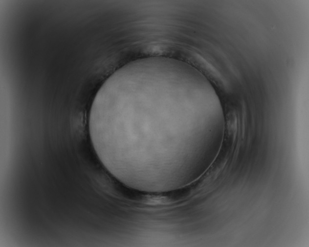 X0000092110605200710031232