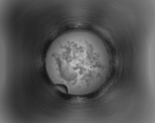 X0000092110607200710031232