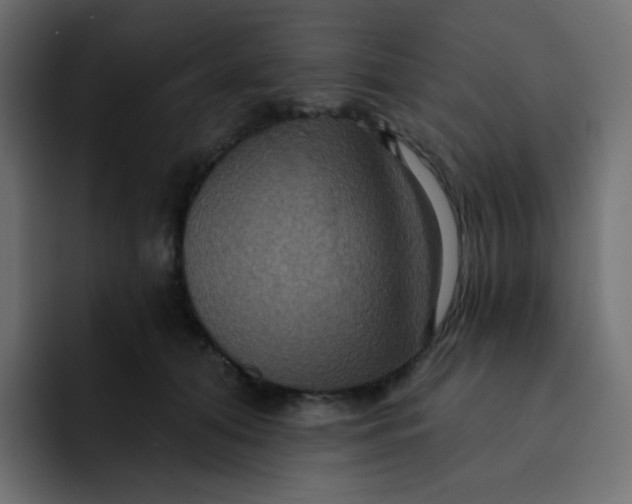 X0000092110608200710031232