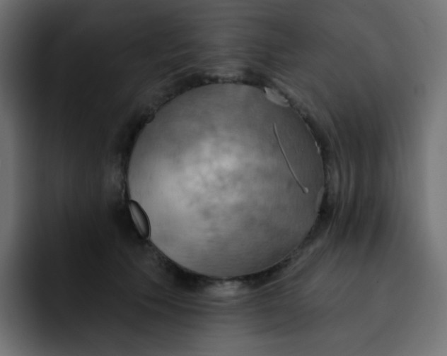 X0000092110609200710031232