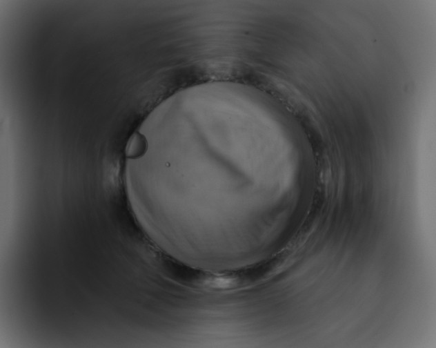 X0000092110610200710031232