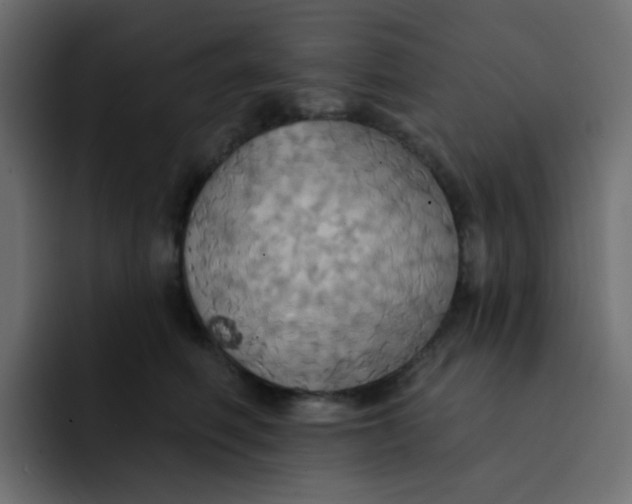 X0000092110614200710031232