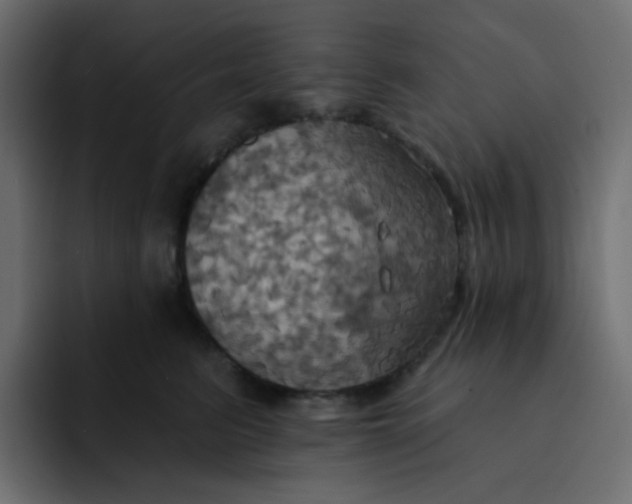 X0000092110615200710031232