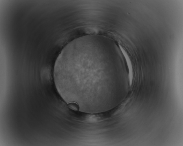 X0000092110616200710031232