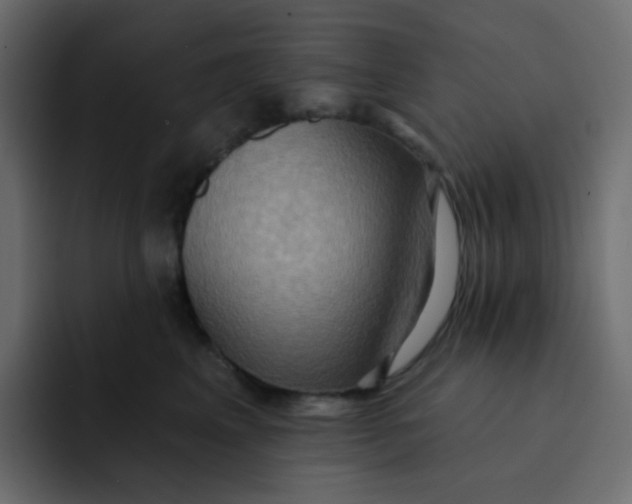 X0000092110617200710031232