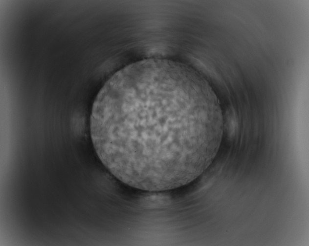 X0000092110619200710031232