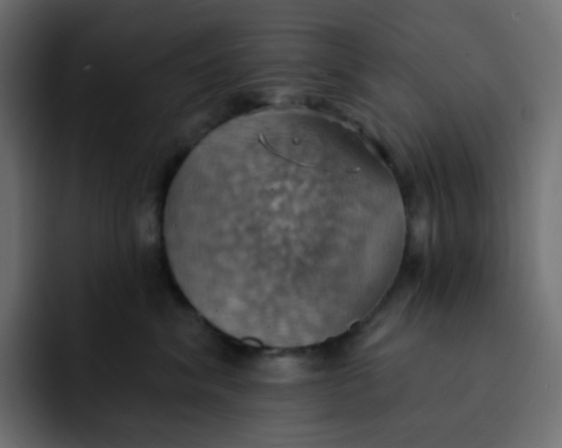 X0000092110620200710031232