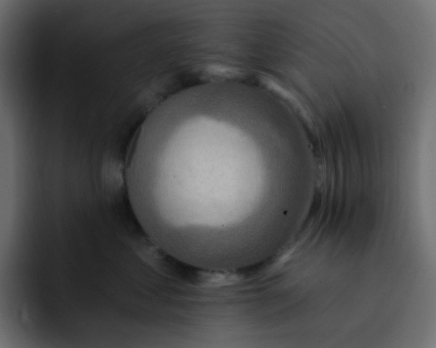 X0000092110621200710031232