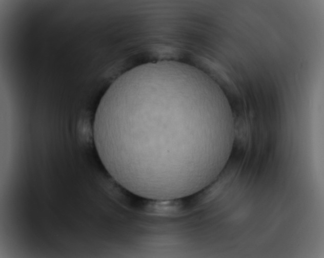 X0000092110622200710031232