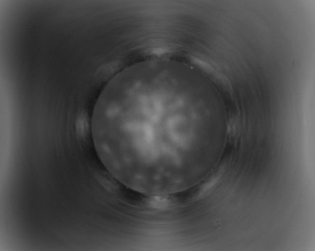 X0000092110623200710031232