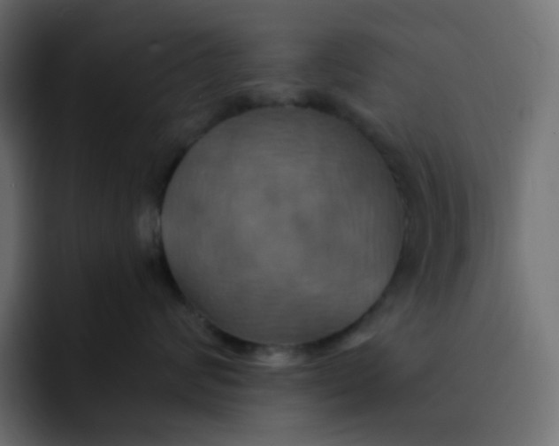 X0000092110624200710031232