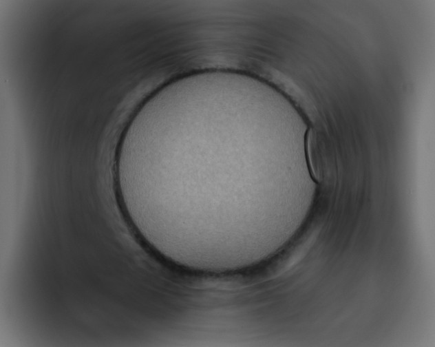 X0000092110625200710031231