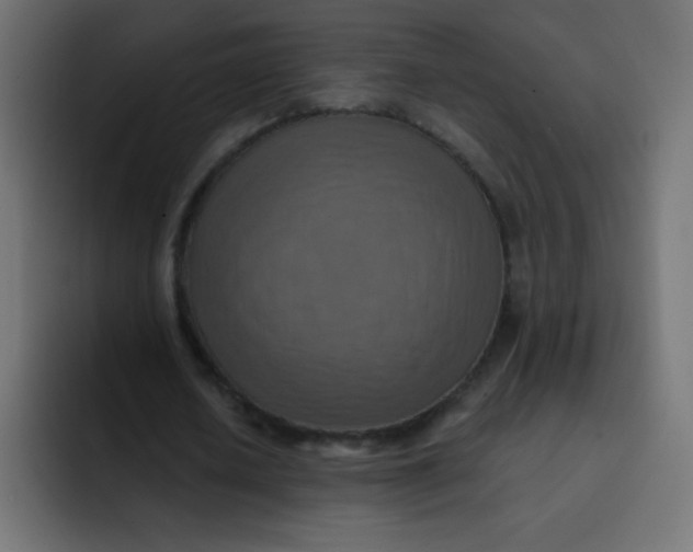 X0000092110626200710031231