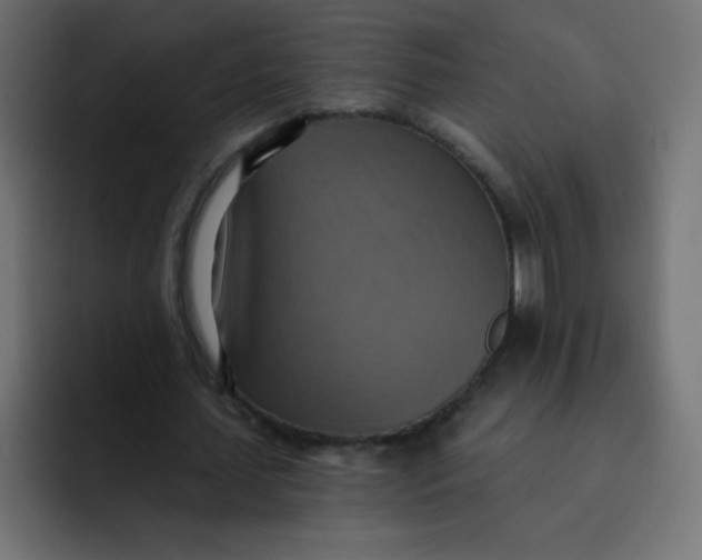 X0000092110627200710031231