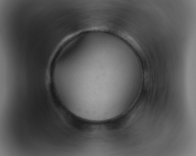 X0000092110628200710031231