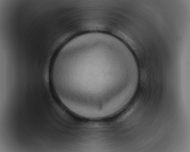 X0000092110629200710031231