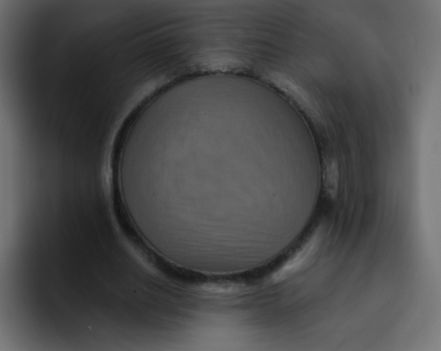 X0000092110630200710031231