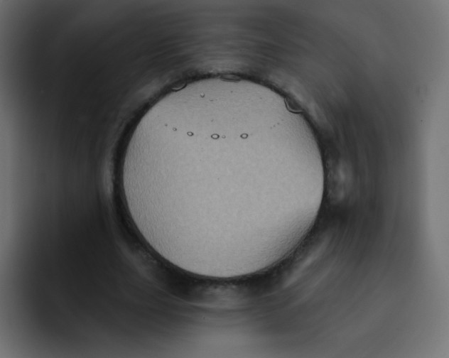 X0000092110631200710031231