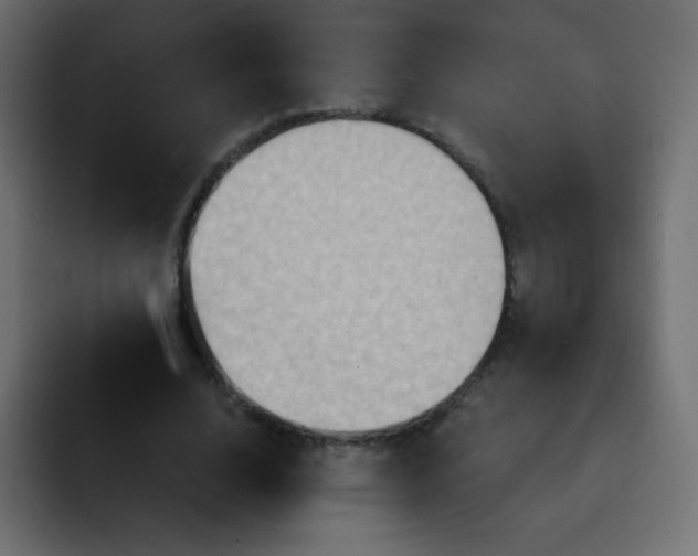 X0000092110632200710031231