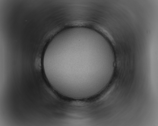 X0000092110633200710031231