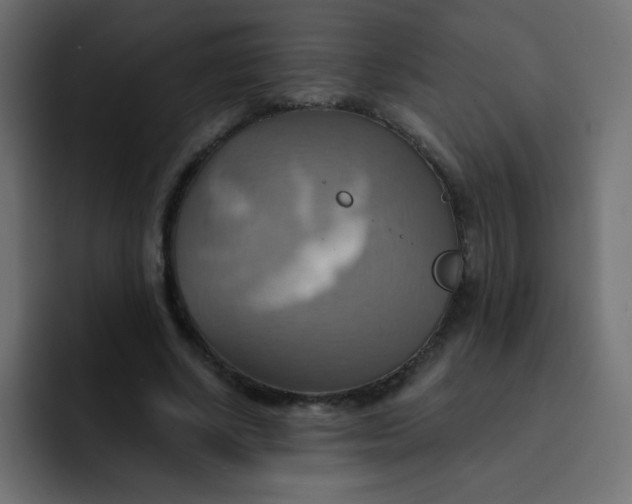 X0000092110634200710031231