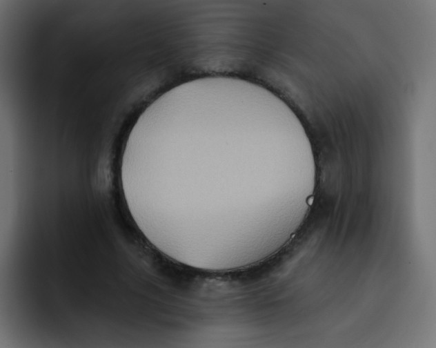 X0000092110635200710031231