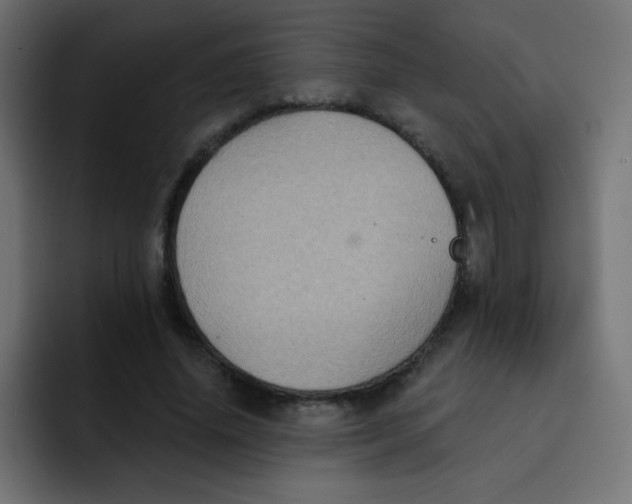 X0000092110636200710031231