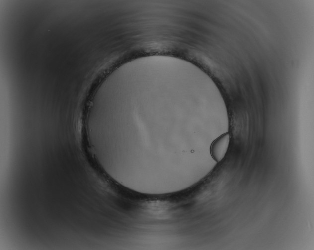 X0000092110637200710031231