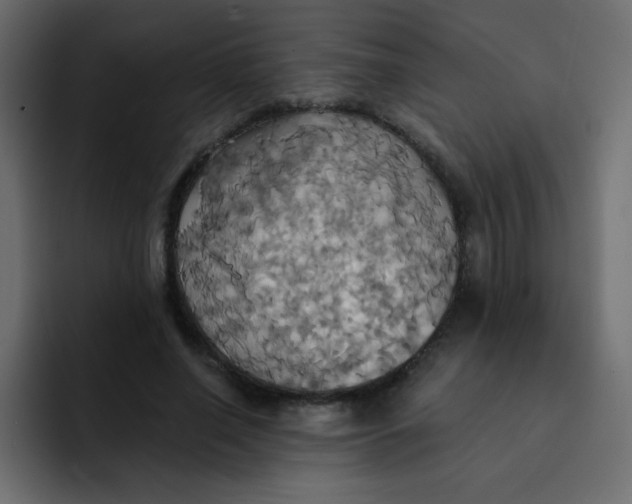 X0000092110638200710031231