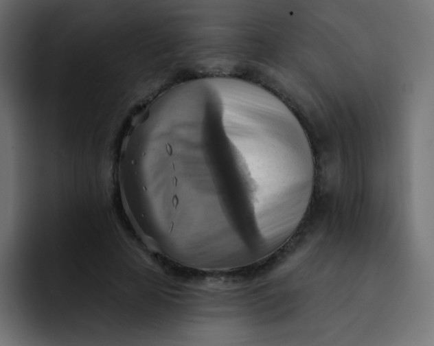 X0000092110641200710031231