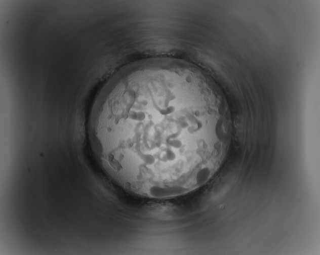 X0000092110642200710031231