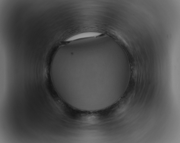 X0000092110643200710031231