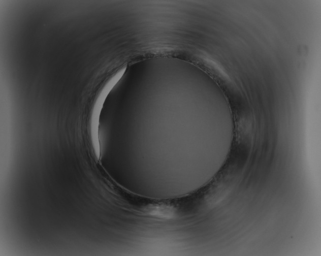 X0000092110644200710031231