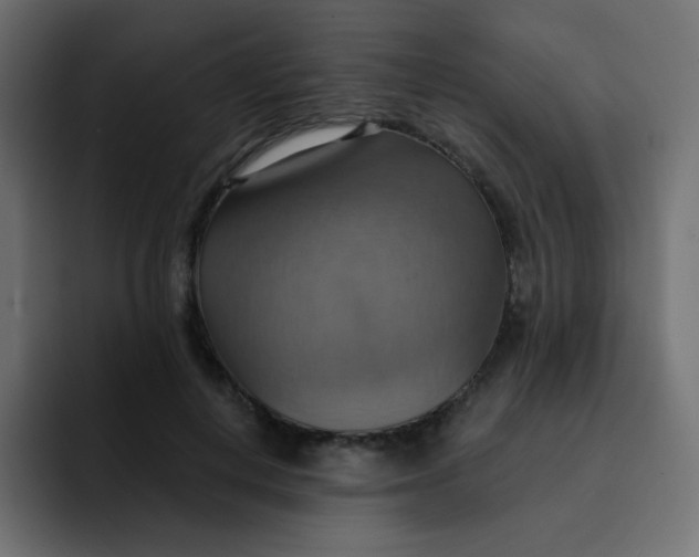 X0000092110648200710031231