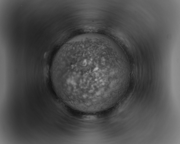 X0000092110649200710031231