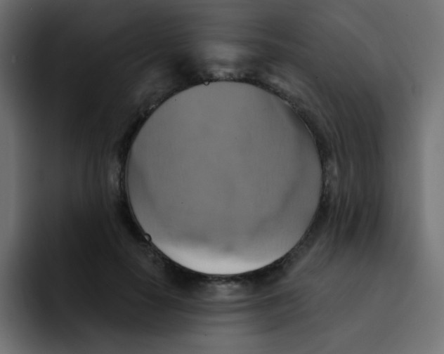 X0000092110650200710031231