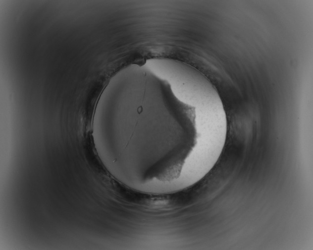 X0000092110651200710031231