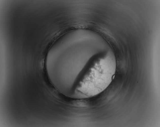 X0000092110652200710031231