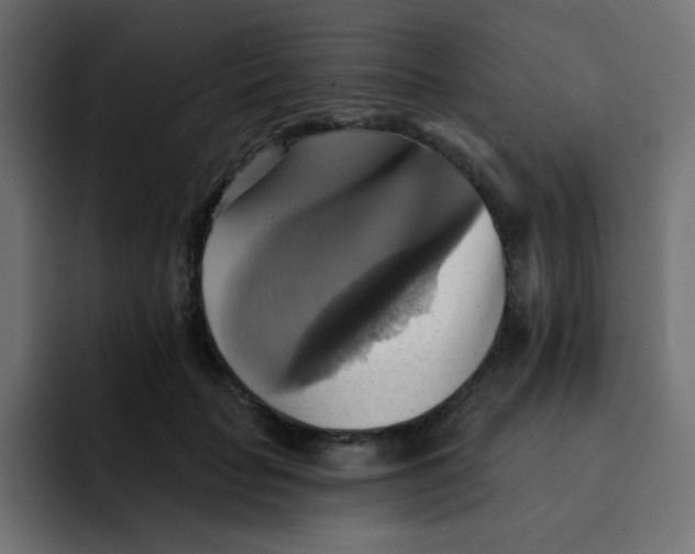 X0000092110653200710031231