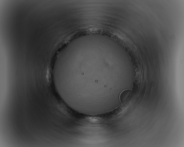 X0000092110654200710031231