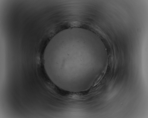 X0000092110655200710031231