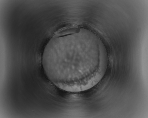 X0000092110657200710031231