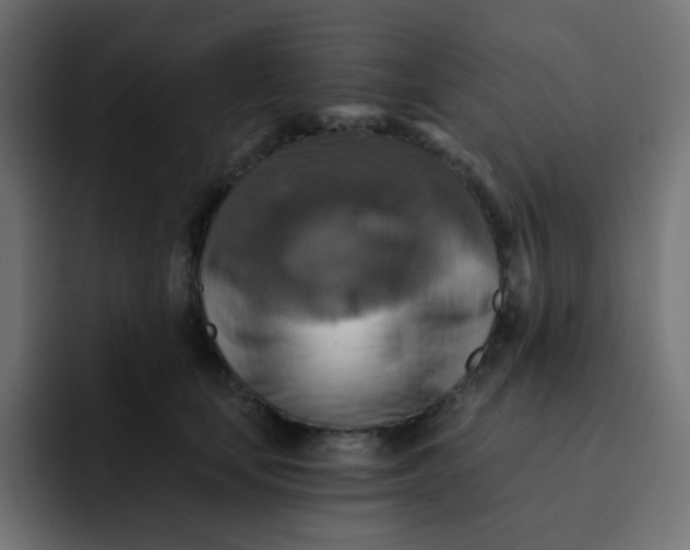 X0000092110659200710031231