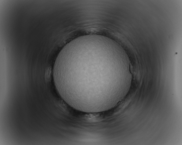 X0000092110660200710031231