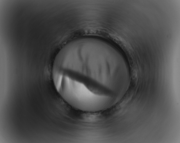 X0000092110661200710031231