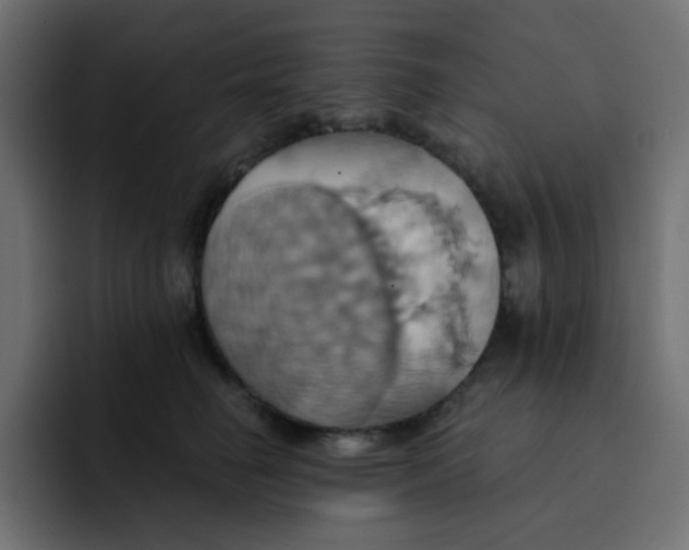 X0000092110662200710031231