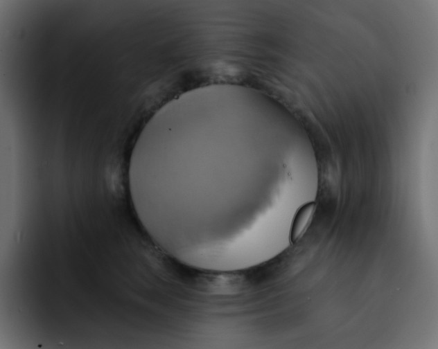 X0000092110663200710031231