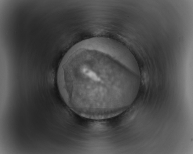 X0000092110664200710031231