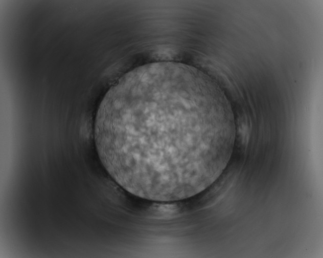 X0000092110665200710031231