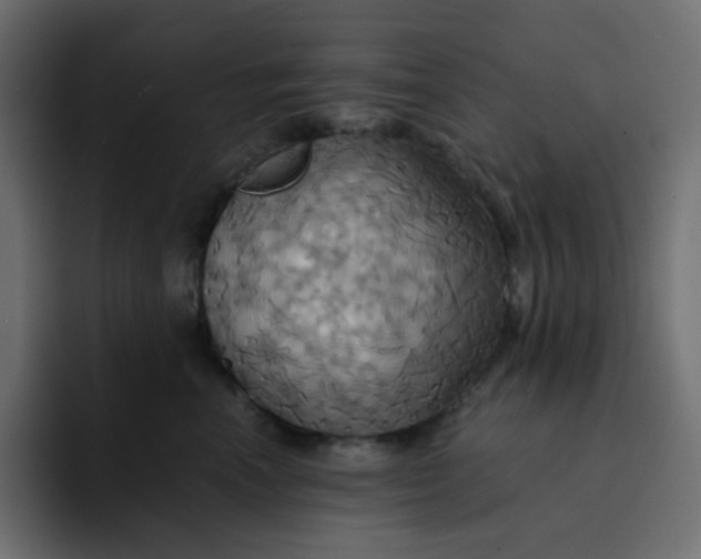 X0000092110666200710031231